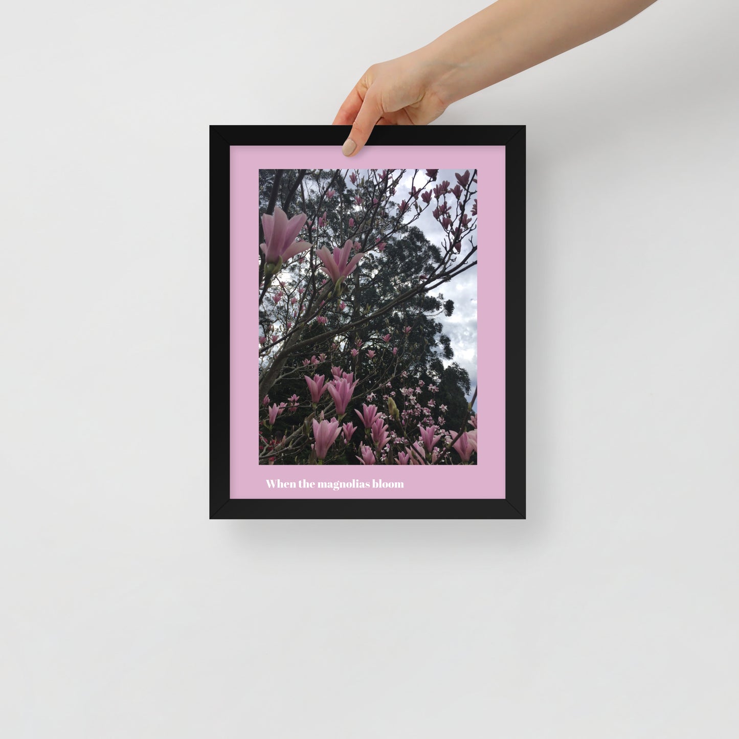 When Magnolias Bloom