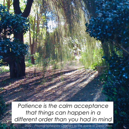 Patience in the calm - Digital Prints